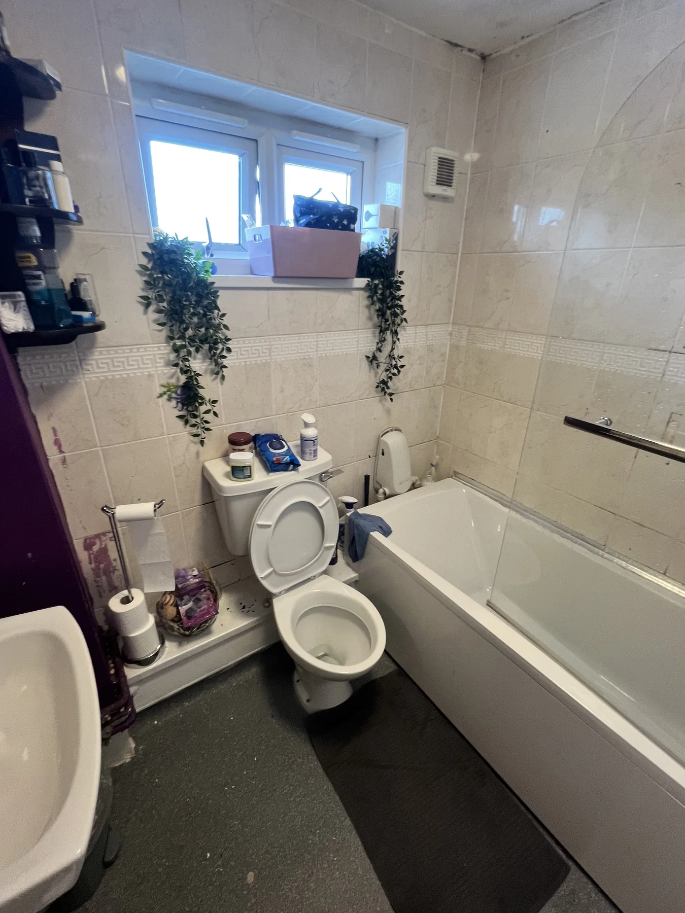 AGUK bathroom before renovation, project 19